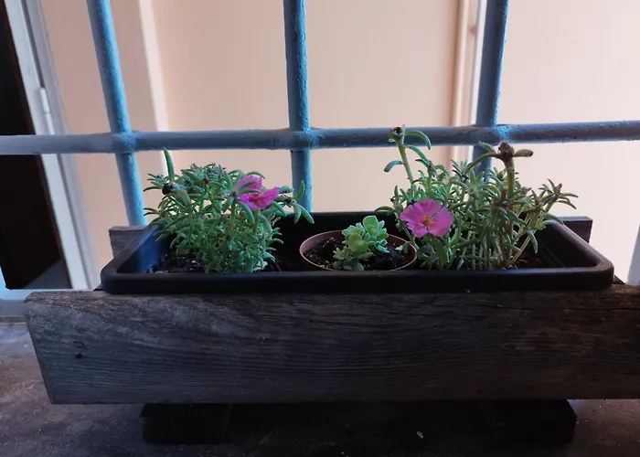 Da Silvana Διαμέρισμα